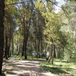 20170507_104807